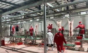 解析自動檢重秤組合多頭秤在豬肉及小重量產(chǎn)品中的創(chuàng)新應(yīng)用