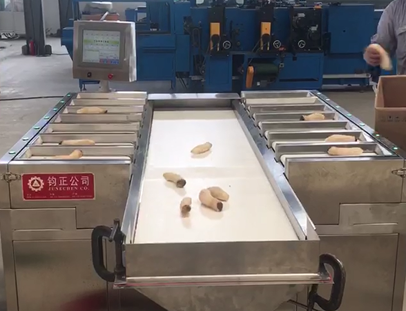 杏鮑菇配重 杏鮑菇配重